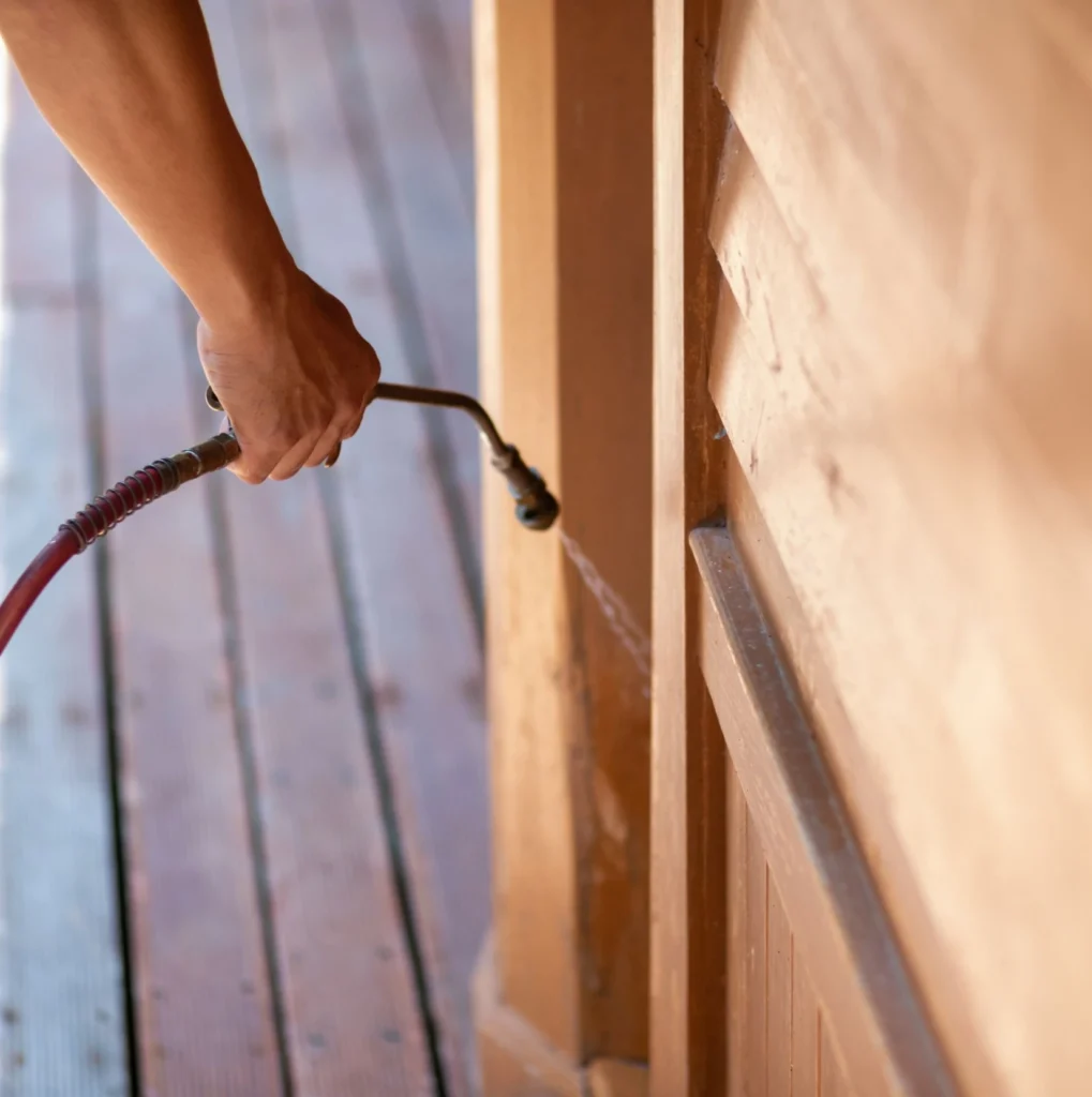Trusted Pest Control - Inwood Pest Control Pros | Inwood, NY | 516-886-5488